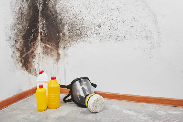 Best Mold Cleaning Services  in Riner, VA