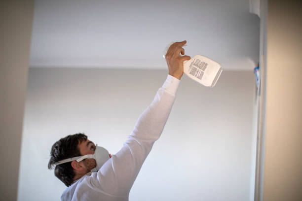 Riner, VA Mold Removal Company