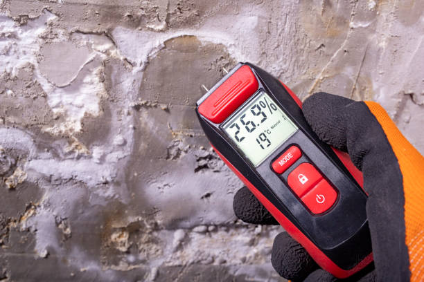 Best Mold Removal Company Near Me  in Riner, VA
