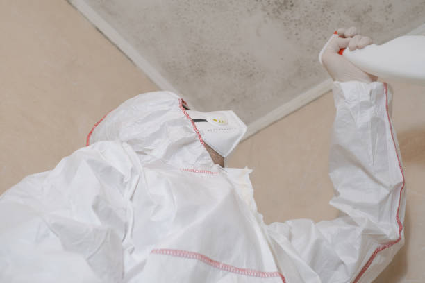 Best Professional Mold Removal  in Riner, VA