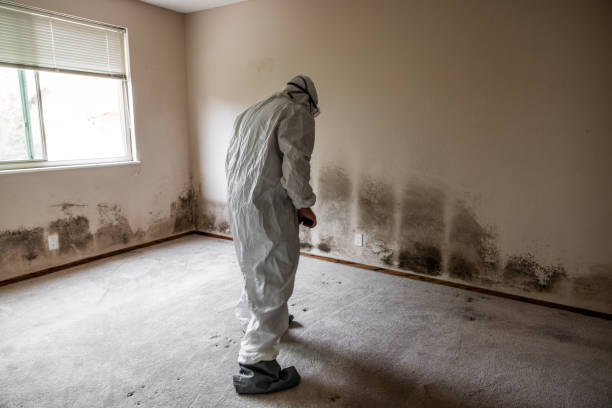Best Residential Mold Removal  in Riner, VA